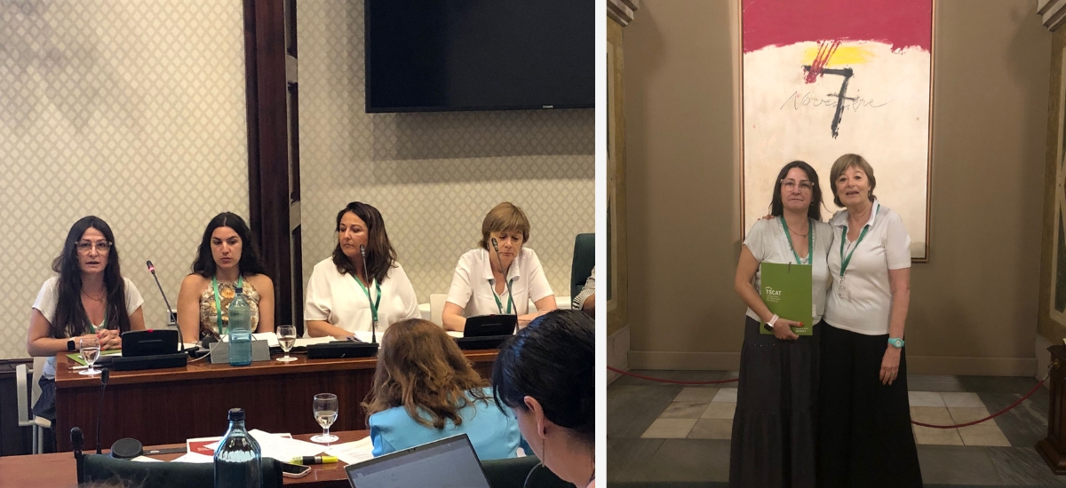 Compareixença Parlament RGC