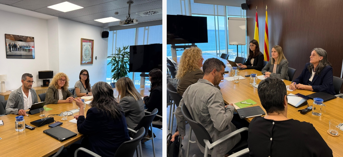 Reunió consellera Drets Socials i Inclusió