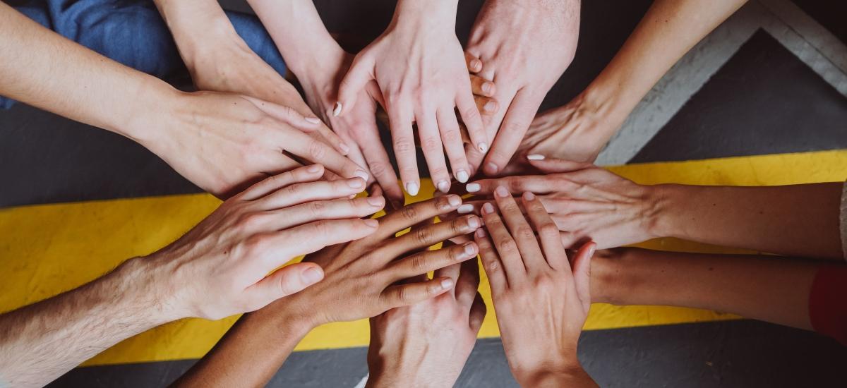 Article al Social.cat