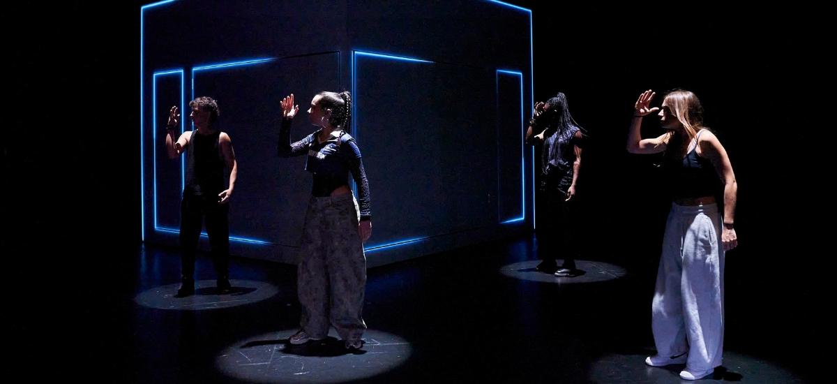 Imatge de l'espectacle Tarsius al TNC