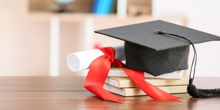 Webinar doctorat en treball social