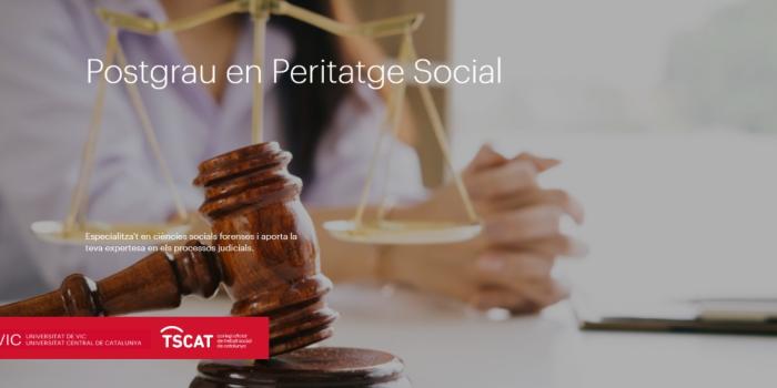 Postgrau Peritatge Social