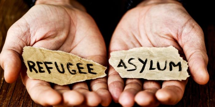 curs "Dret d’asil i protecció internacional: aproximació des del treball social a la llum de les novetats legislatives"