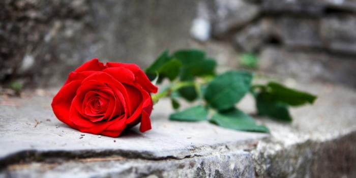 Recordatori Dolors Olmos